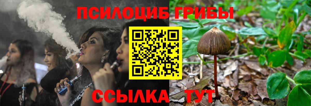 Галлюциногенные грибы Magic Shrooms Калуга