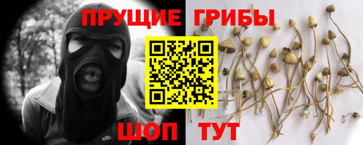 Калуга  Псилоцибиновые грибы мицелий  Псилоцибиновые грибы MAGIC MUSHROOMS  как найти наркотики  Вход с VPN 